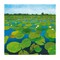 Waterlilies by Alexander Hamawi Wall Art Décor 27 1/2 x 27 1/2 Art Print